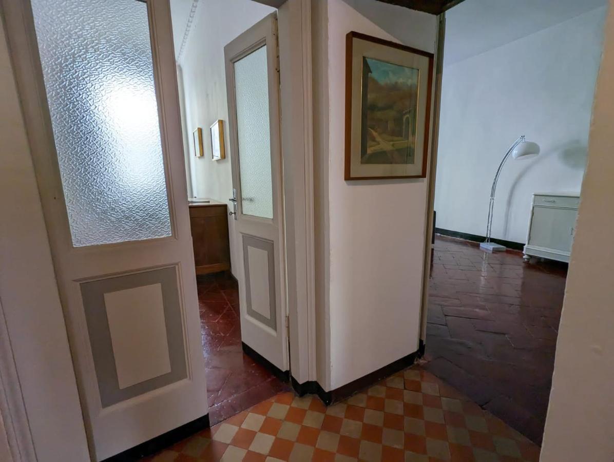 Papavero Piazza Delfino